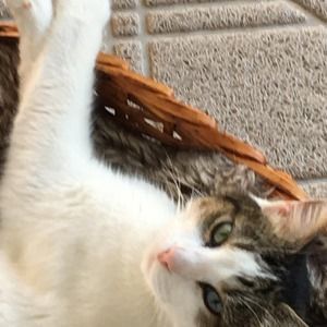 Meet your Posher, Bob